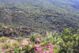 Aygül Hotel